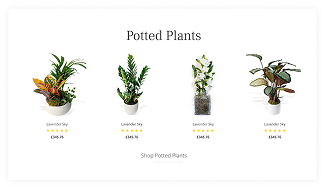 Flower Station Project