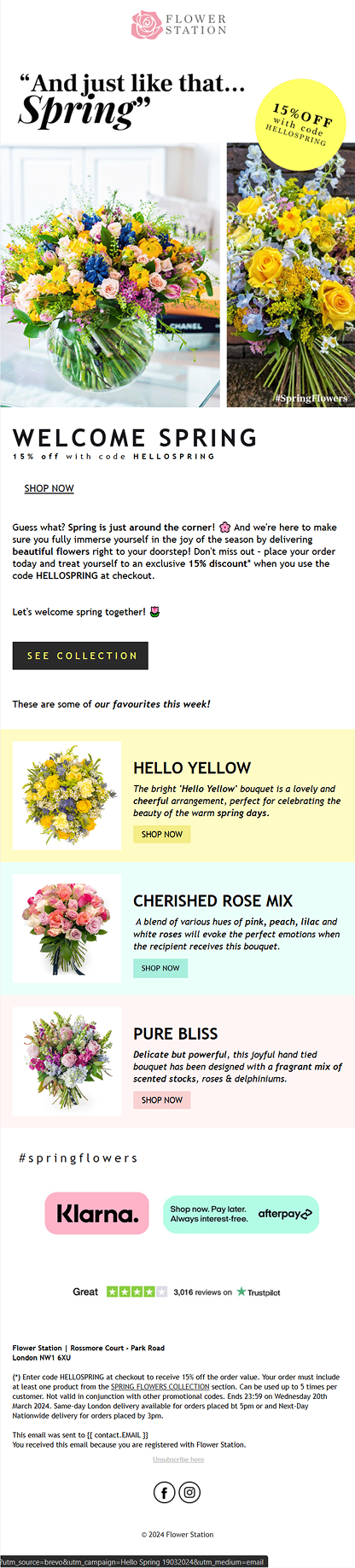 Email Campaigns