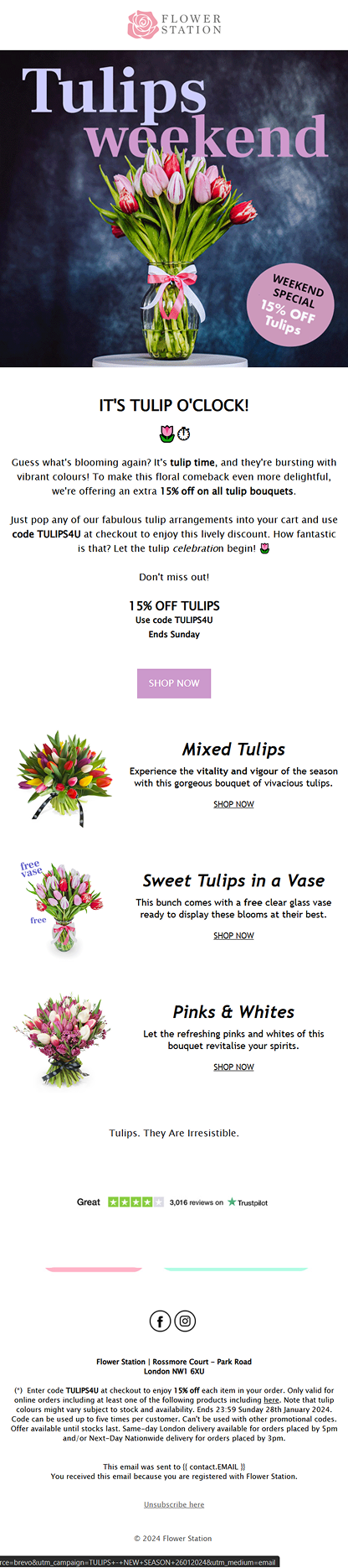 Email Campaigns