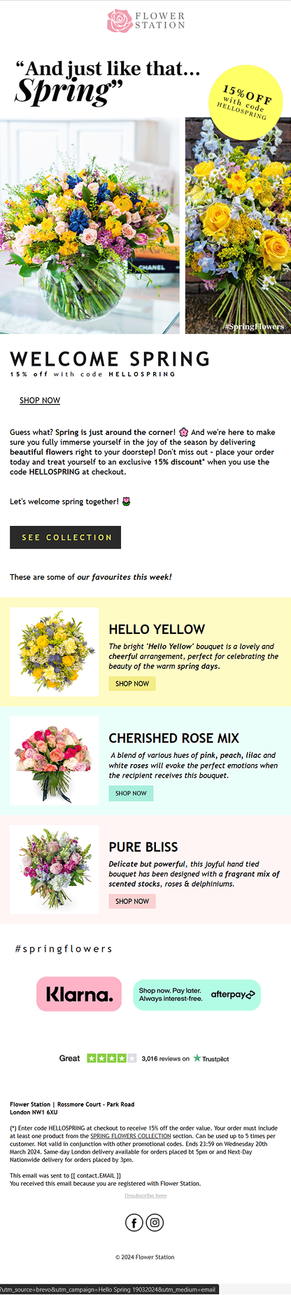 Email Campaigns