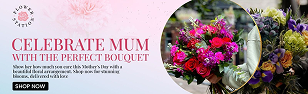 Banner Design