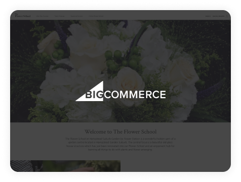 BigCommerce Dev project
